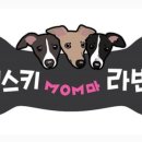 휴먼빈스
