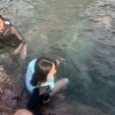 펜션연리 | 7월제주 1일차 -2 / 서귀포 황우지선녀탕 올레시장 오는정김밥 펜션연리