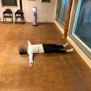 시골밥상(농어촌민박) | 경남 밀양 여행 1편 : 밀양민박&lt;아모르&gt; 밥 잘 주는 K-힐링 할머니집
