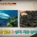 청해건어물 이미지