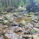 산골건강원 이미지