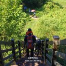 상전체련공원 이미지