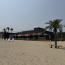 나인비치37 이미지