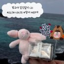 11650-17-38-6 | 빛규네 임신일기 (2) 17주차~38주차 임당검사 입체초음파 시기 언제?