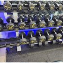 나만의 GYM 이미지