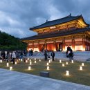 김영원 | 김해 가야테마파크 빛축제 '영원', 올옷의 가야왕궁 야간 공연 후기