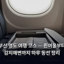 영도구청(본관) | 부산 영도 여행 코스 — 흰여울부터 감지해변까지 하루 동선 정리