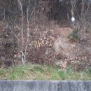 송백장모텔 이미지