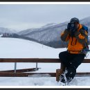 삼영목장 이미지