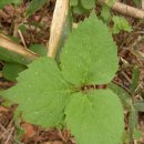 명주골목 이미지