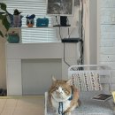 남해-181 이미지