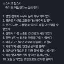 엔돌핀 Daum카페