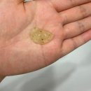 디어퐁퐁 | Dear Glam 753 | 시카 민감성 피부에 좋은 진정케어 선물세트 4종 후기