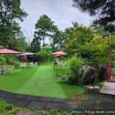 더블링독 이미지