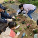 횡성초등학교 이미지