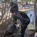 대포항 공용화장실 이미지