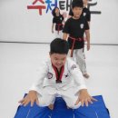 경희대 수청태권도 이미지