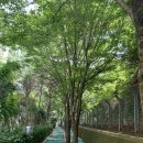 반도보라빌리지산책로 이미지