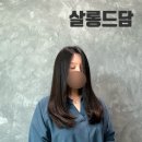 살롱드담 이미지