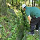 서귀포자연휴양림 이미지