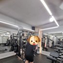 피트니스131 네이버블로그