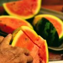 경규농장 이미지