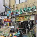 여름 장마철 대비, 믿음존 해충 방역 실시🦠🚨 (서울 종로 농약사 · 천연 해충제 · 다이소 제충국)