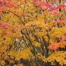 양마산 물빛길 이미지