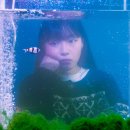 홍콩느낌 어항컨셉 사진 후기 :: 서울 사진관 &lt;물들이다&gt;