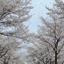 성대2리 이미지