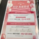 [체험] 성남 단대오거리 퓨어벨 에스테틱 셀쏙 상체관리 라인 정리 최고 솔직 후기