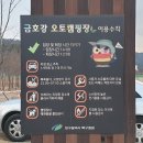 금호강 16번 네이버블로그
