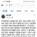 수영장에서 소변 봐도 되는 이유 이미지