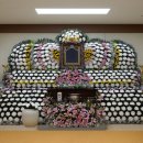 용인제일메디병원 티스토리