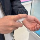 펫하우스(애견샵) 이미지