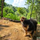 원주굽이길 9코스 스무산둘레길 이미지