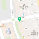 더첼로스튜디오첼로교습소