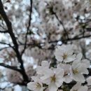 사회복지현장실습 이미지