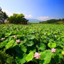 유등연지 둘레길 이미지