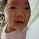 다은 카카오 검색결과