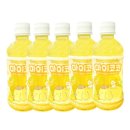 마이코코 이미지