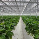 완주농장 이미지