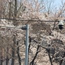 하니어린이공원 이미지