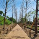 회현동행정복지센터 이미지