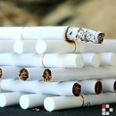 바이제로(Vi-Zero) 이미지