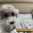 동남덴탈 이미지