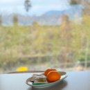 제주 개구리펜션 가족독채펜션 | 제주 독채 가족 펜션 추천 단심 스테이 조천 자쿠지숙소 후기