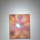 빛이나개 이미지