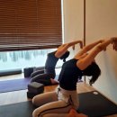 (주) 청담 JU YOGA&GYM | “내가 할 수 있는 만큼만” - 회원이 남긴 진짜 요가 후기