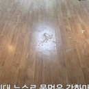 에이치데코 이미지